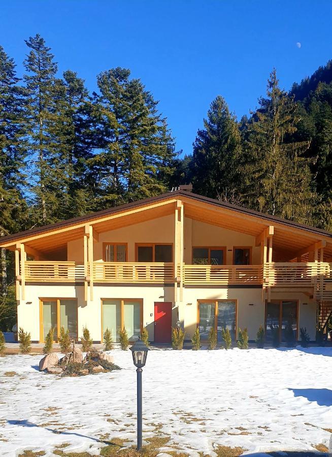 Vila Chalet Relax Molveno E Andalo Dolomiti Exteriér fotografie