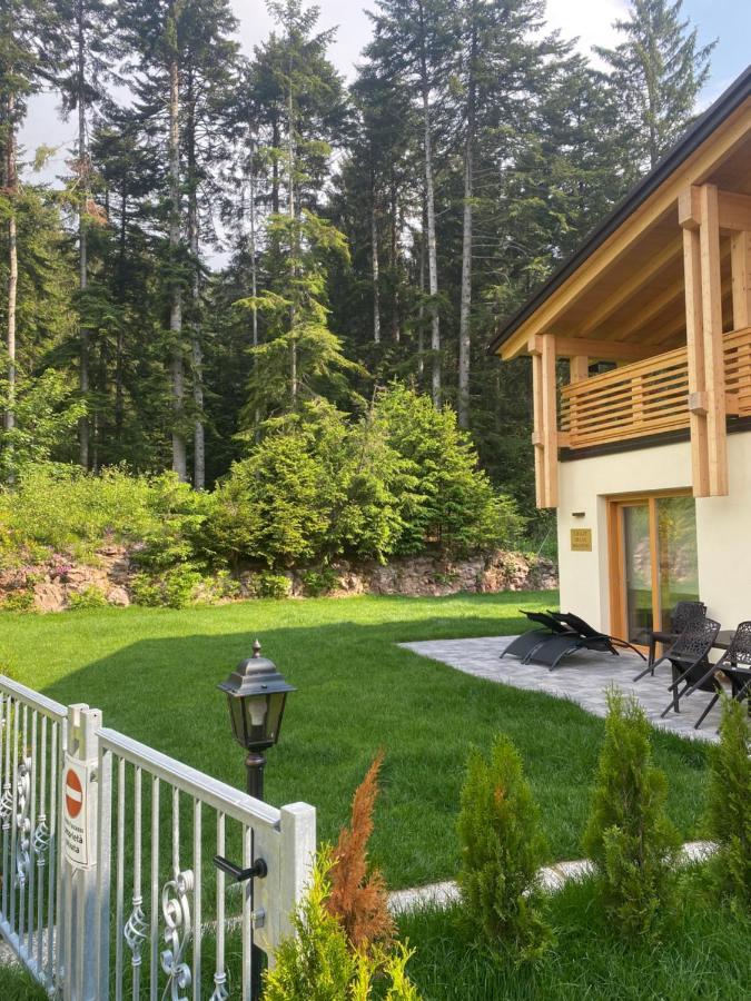 Vila Chalet Relax Molveno E Andalo Dolomiti Exteriér fotografie