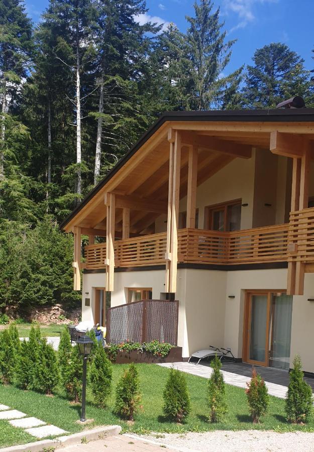 Vila Chalet Relax Molveno E Andalo Dolomiti Exteriér fotografie