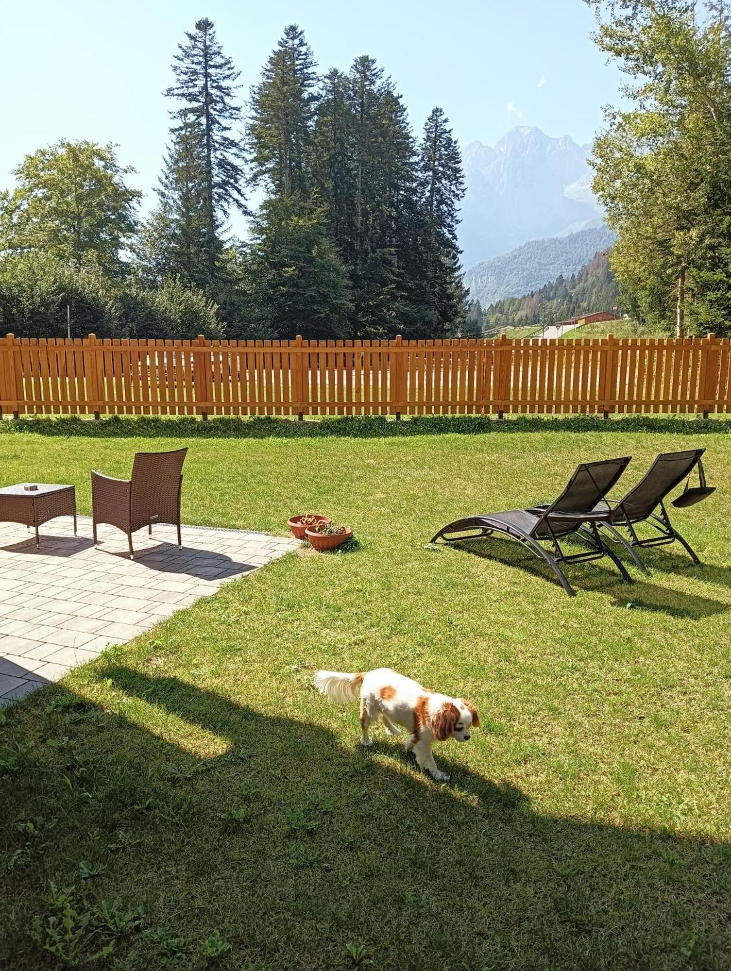 Vila Chalet Relax Molveno E Andalo Dolomiti Exteriér fotografie